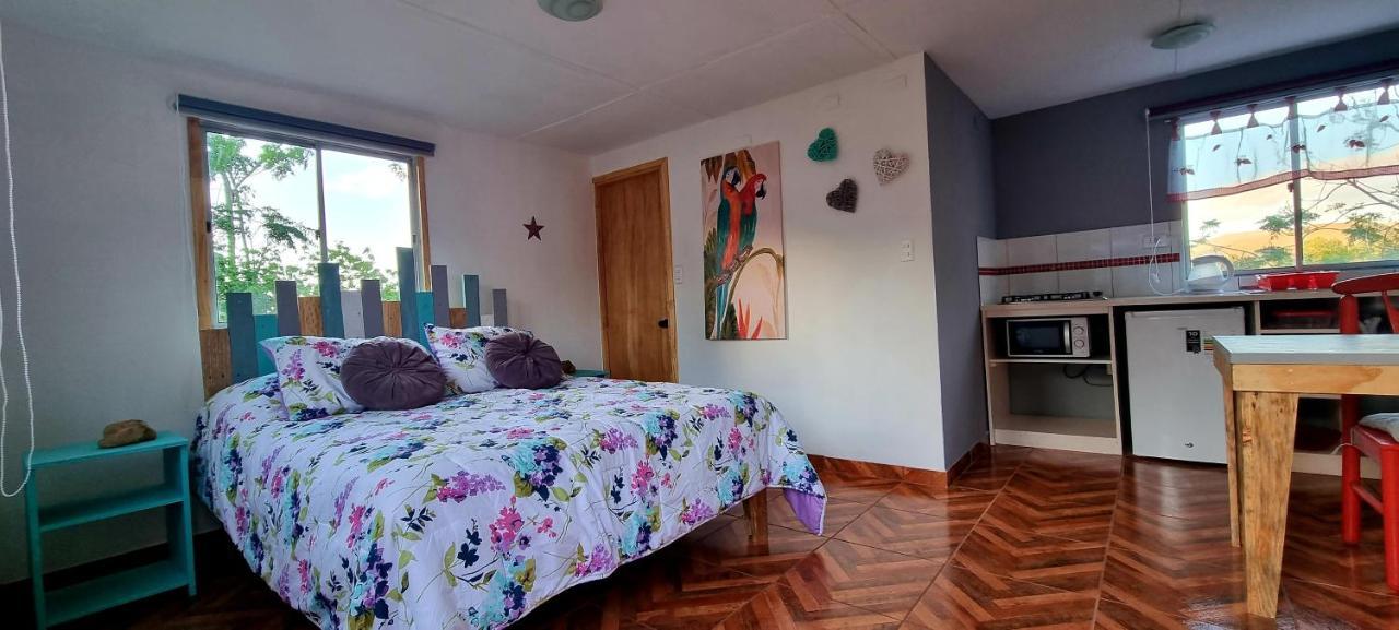 Henua Roa Loft Daire Hanga Roa Dış mekan fotoğraf